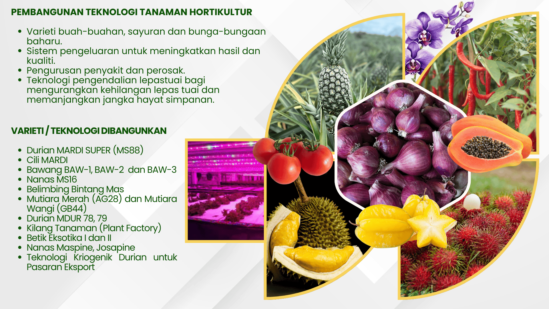HR TEKNOLOGI