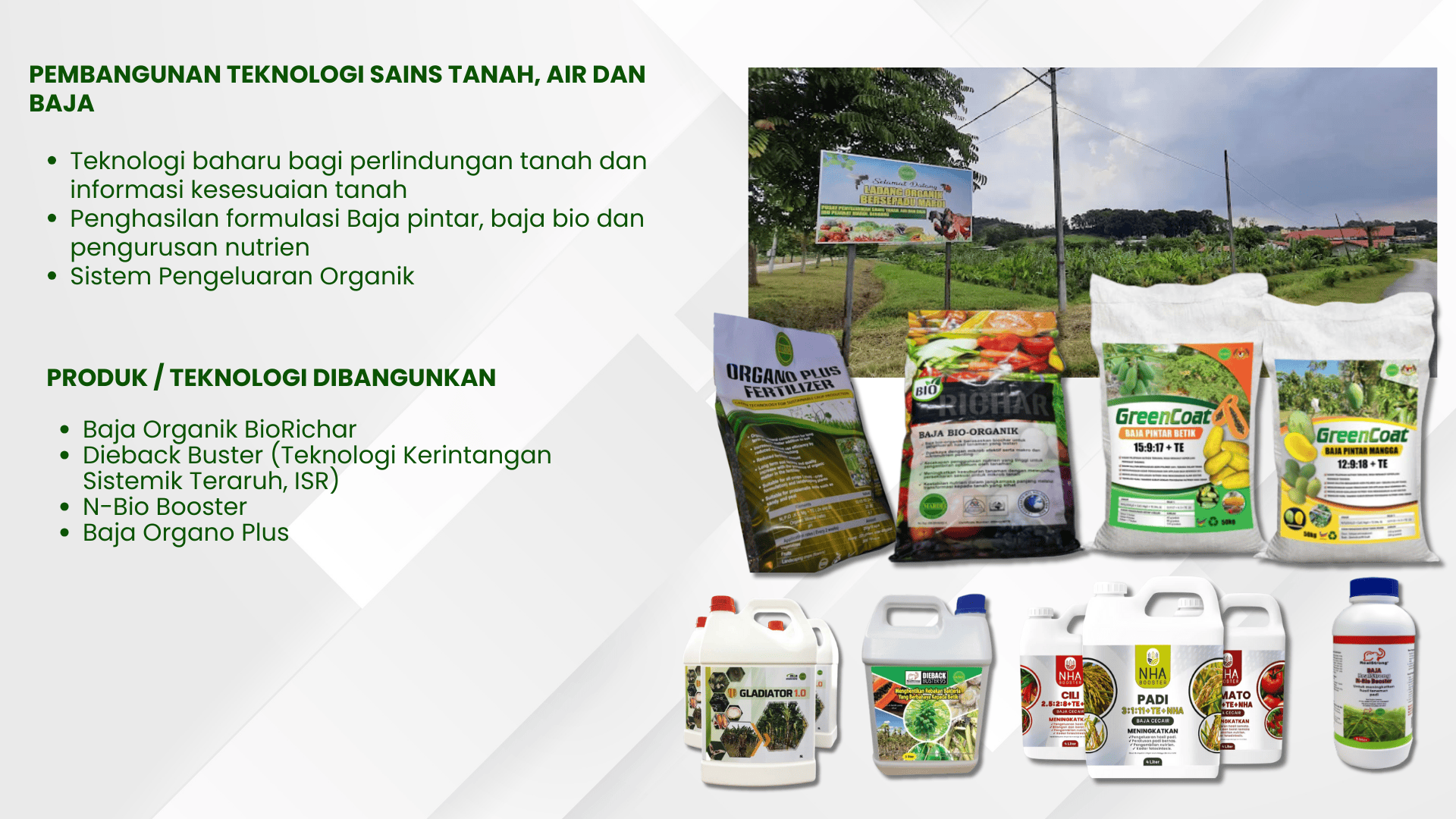 SF TEKNOLOGI
