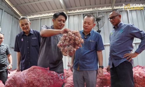 LAWATAN KERJA YB DATUK CHAN FOONG HIN KE PROJEK PENGELUARAN BENIH BAWANG MERAH MARDI DI KUNDASANG, SABAH