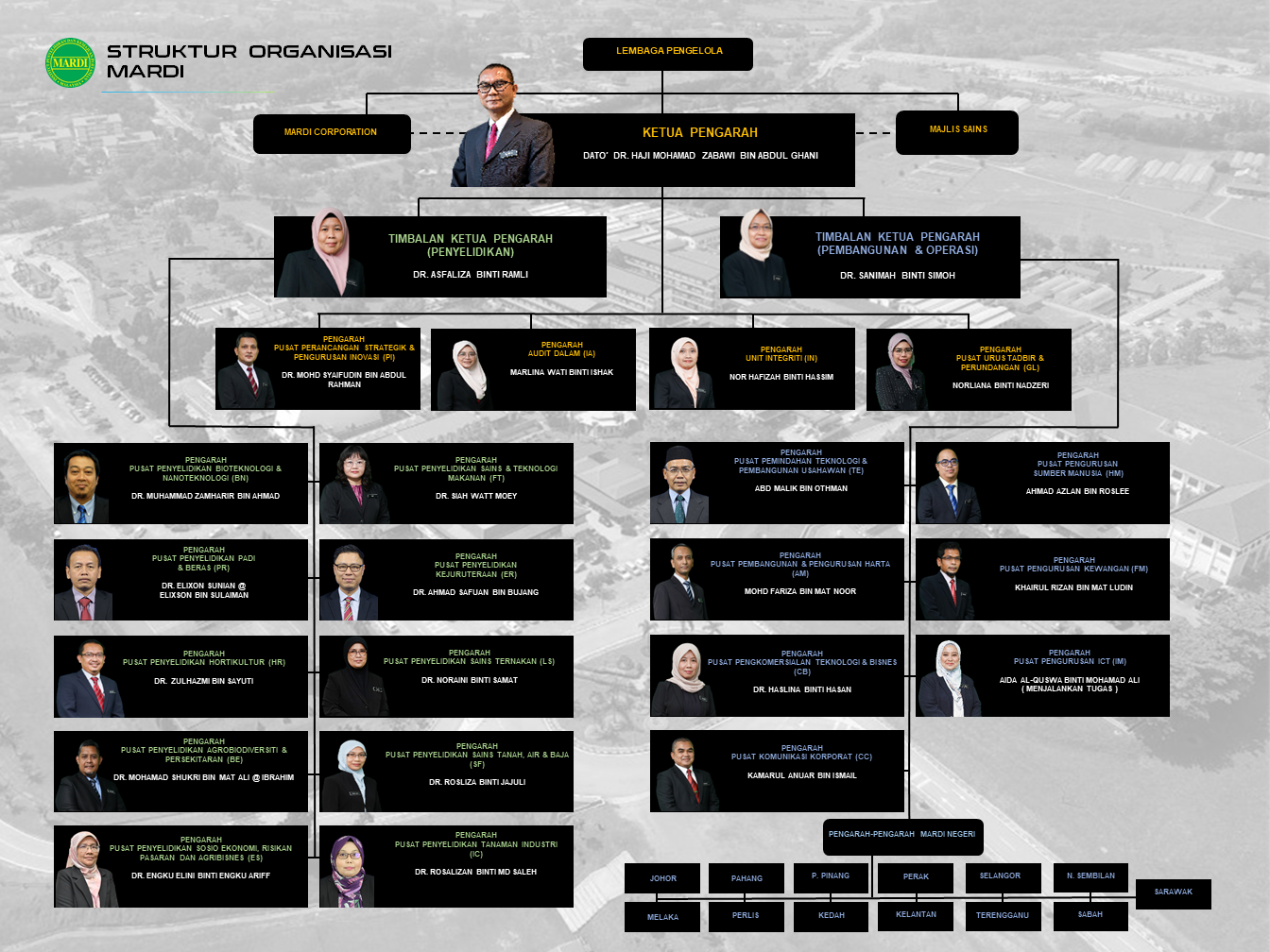 STRUKTUR ORGANISASI